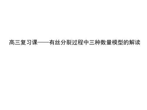 有丝分裂过程中三种数量模型的解读(高三公开课 2020.9.7)
