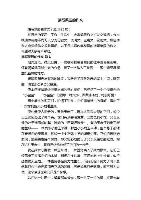 描写菜园的作文（通用23篇）