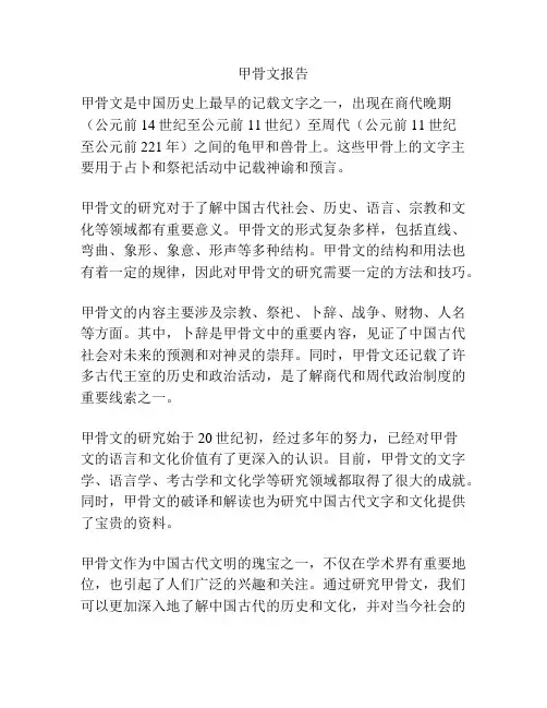 甲骨文报告