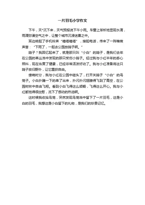 一片羽毛小学作文