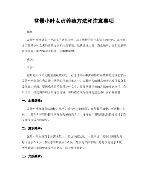 盆景小叶女贞养殖方法和注意事项