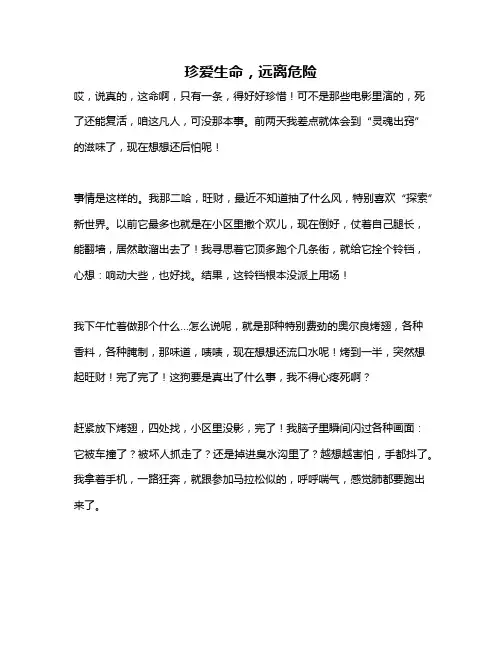 作文《珍爱生命,远离危险》