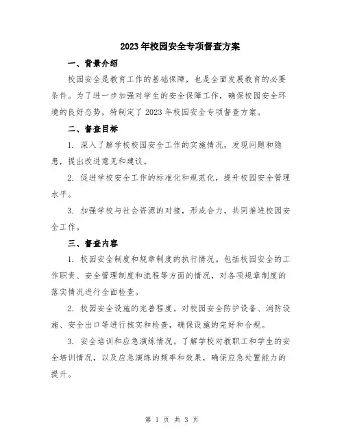 2023年校园安全专项督查方案