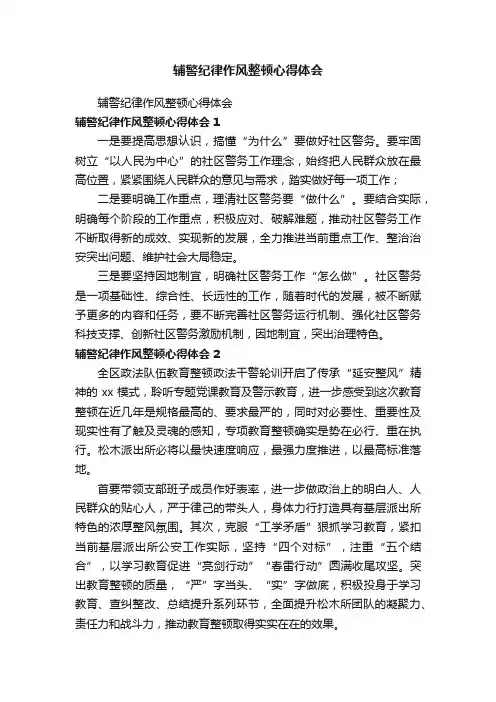 辅警纪律作风整顿心得体会