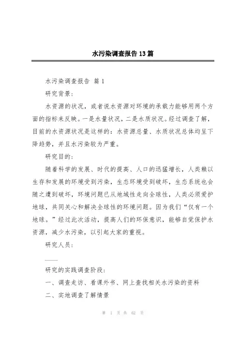 水污染调查报告13篇