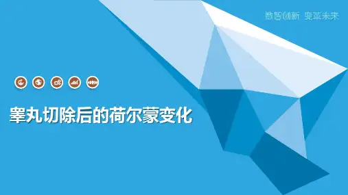 睾丸切除后的荷尔蒙变化
