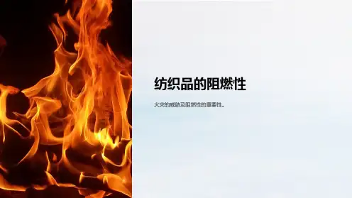 《纺织品的阻燃性》课件
