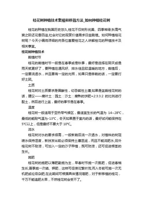 桂花树种植技术繁殖和移栽方法_如何种植桂花树