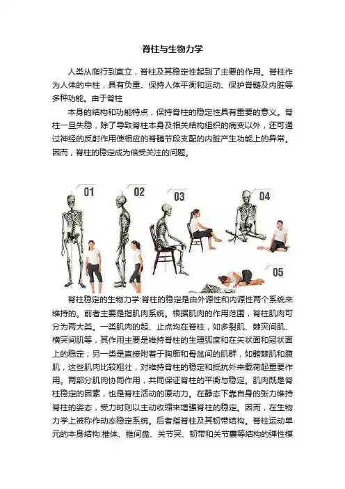 脊柱与生物力学