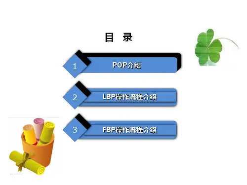 POP操作流程介绍(ppt33张)