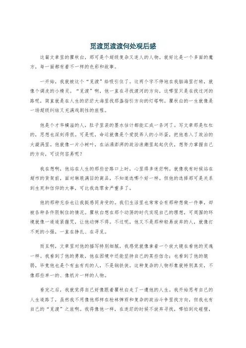 觅渡觅渡渡何处观后感