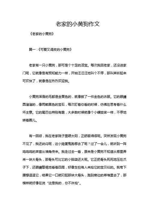 老家的小黄狗作文