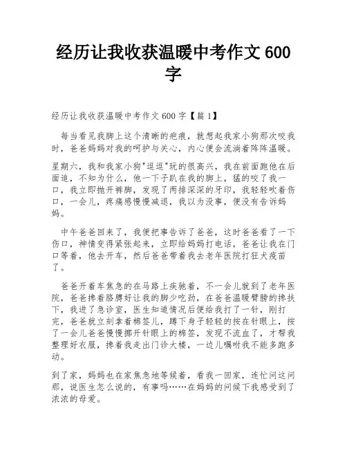 经历让我收获温暖中考作文600字