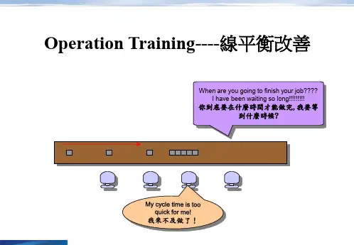 IE线平衡改善(PPT46页)