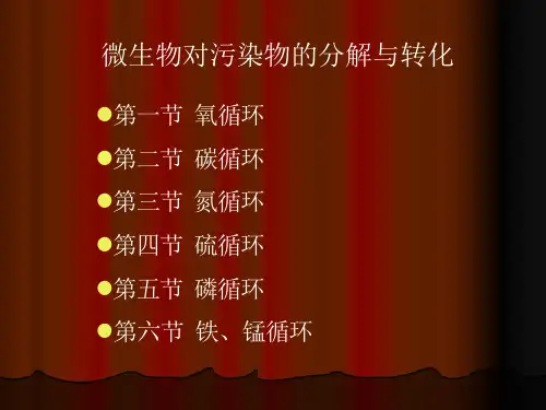 微生物对污染物的分解与转化ppt课件