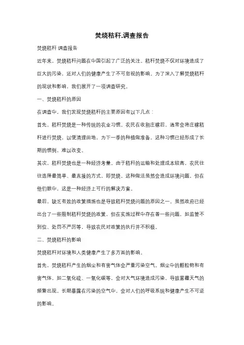 焚烧秸秆.调查报告