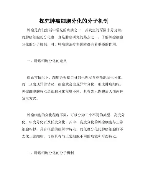 探究肿瘤细胞分化的分子机制