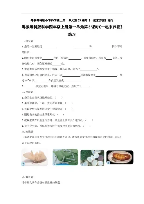 粤教粤科版小学科学四上第一单元第05课时《一起来养蚕》练习