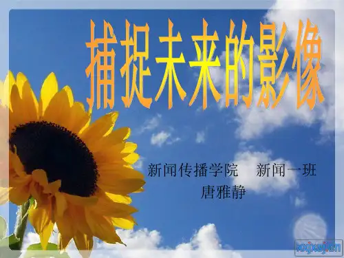 大学生职业生涯规划大赛PPT模板