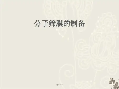 分子筛膜的制备  ppt课件