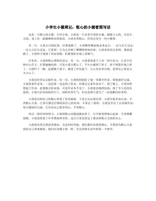 小学生小猫周记：粗心的小猫看图写话