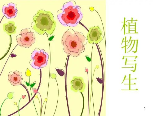 植物线描写生美术ppt课件