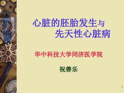 心脏的胚胎发生(研究生用)PPT课件
