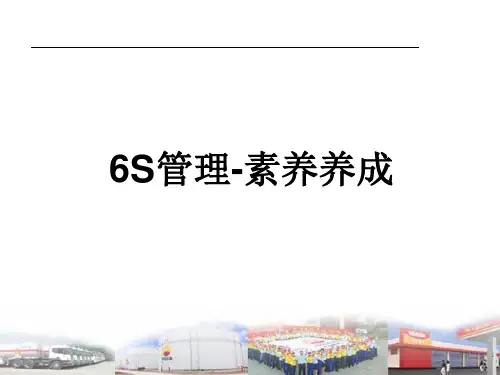 6S管理素养养成