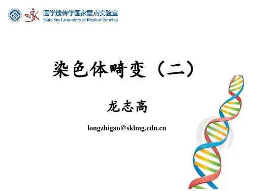 染色体畸变2