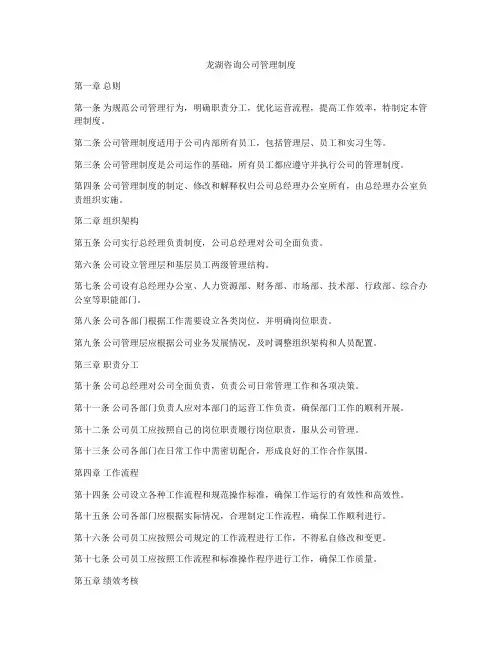 龙湖咨询公司管理制度