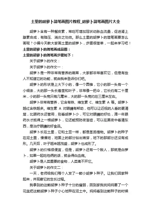 土里的胡萝卜简笔画图片教程_胡萝卜简笔画图片大全