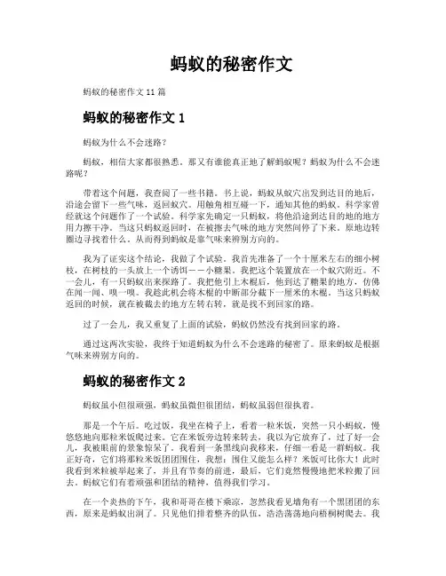 蚂蚁的秘密作文