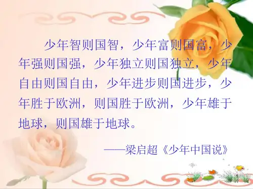 少年智则国智课件