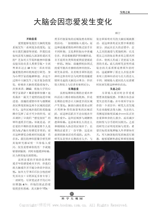 大脑会因恋爱发生变化