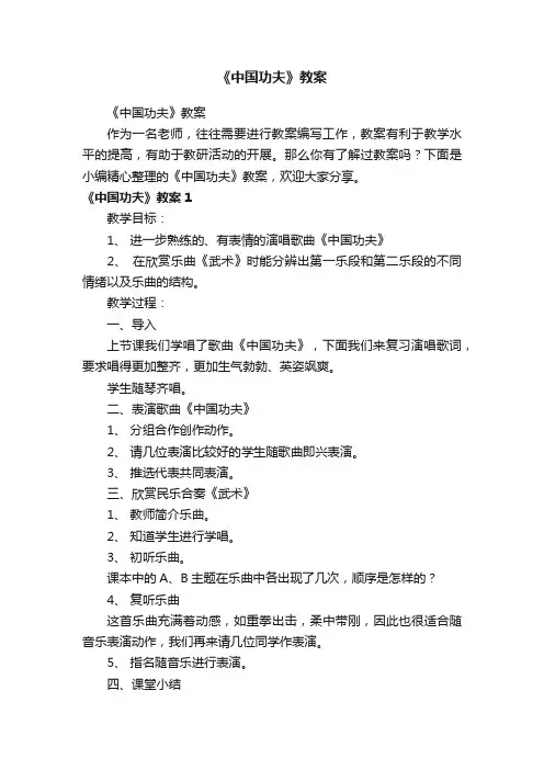 《中国功夫》教案