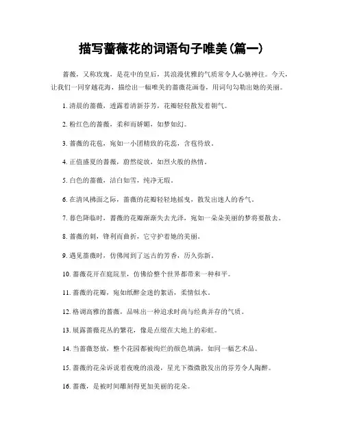 描写蔷薇花的词语句子唯美(精选2篇)