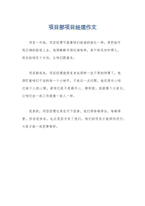 项目部项目经理作文