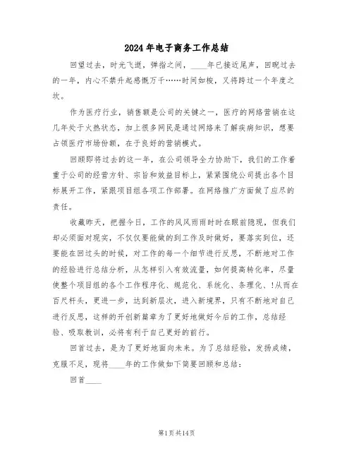 2024年电子商务工作总结（五篇）