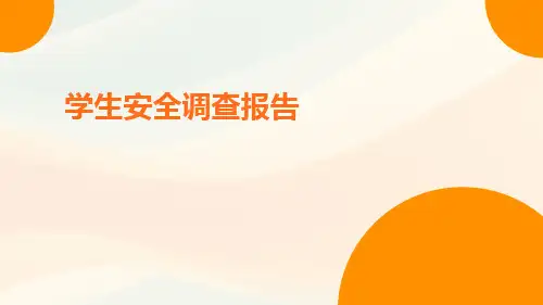 学生安全调查报告