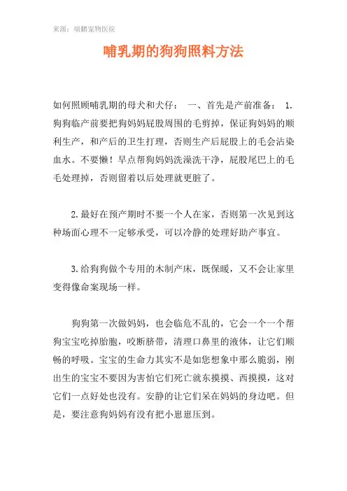 哺乳期的狗狗照料方法