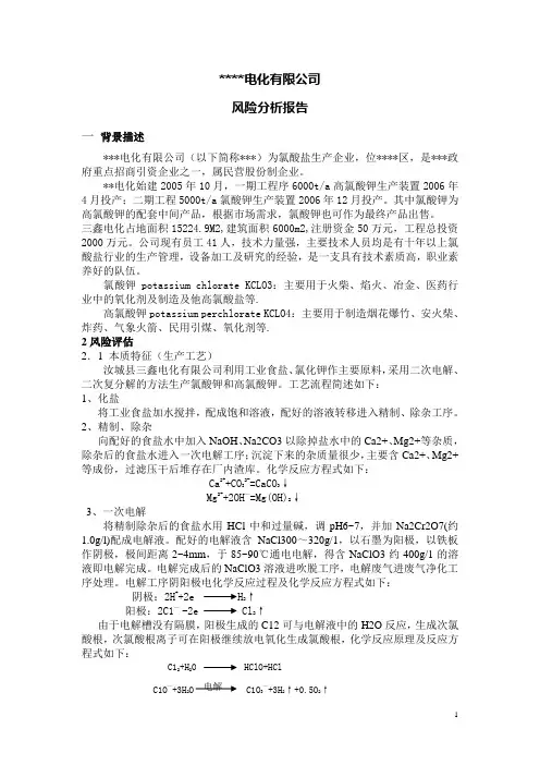 某氯酸盐厂风险评估报告5