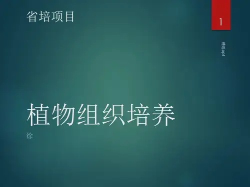 植物组织培养