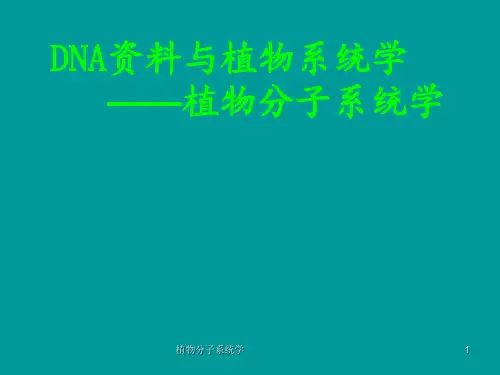 植物分子系统学 ppt课件