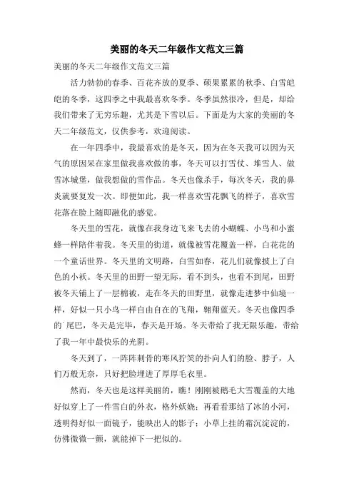 美丽的冬天二年级作文范文三篇