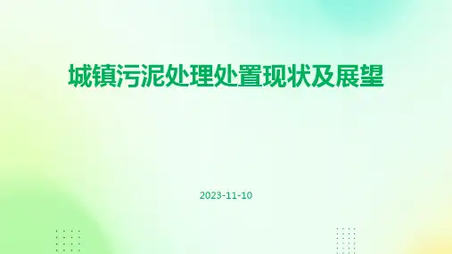 城镇污泥处理处置现状及展望