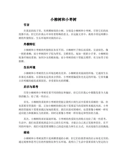 小柳树和小枣树