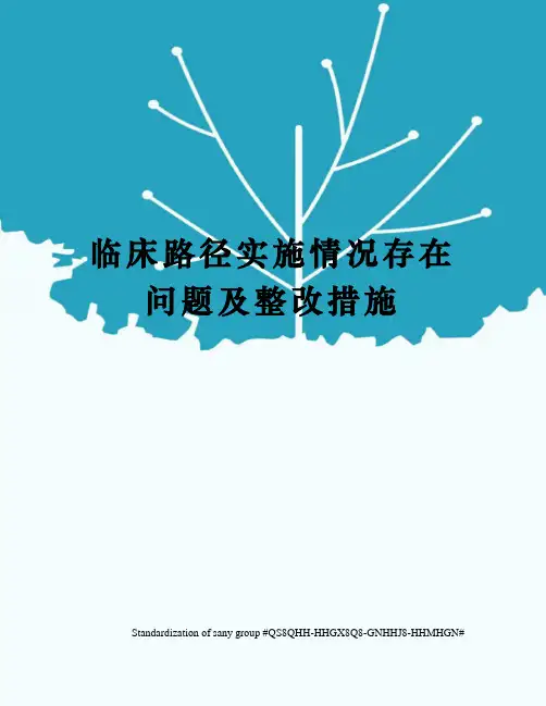 临床路径实施情况存在问题及整改措施
