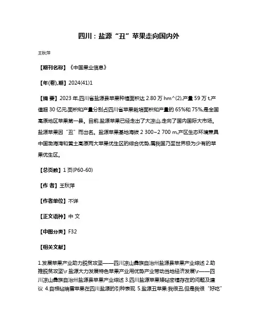四川:盐源“丑”苹果走向国内外