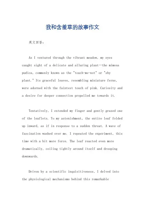 我和含羞草的故事作文