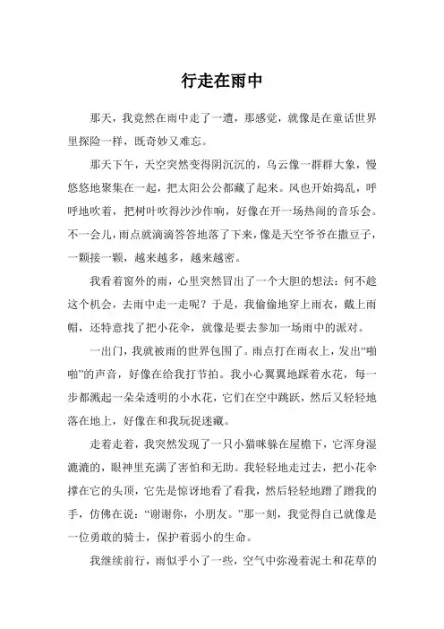 行走在雨中